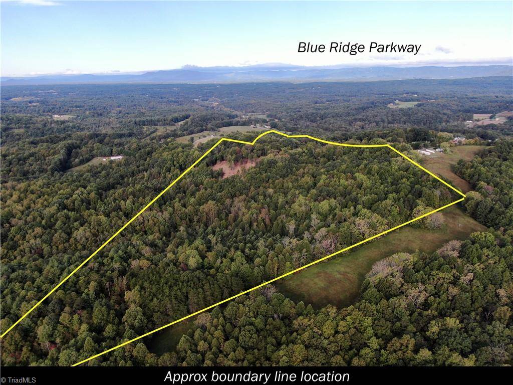 Claudville, VA 24076,00 Pedigo Ridge RD #41.61 Acres