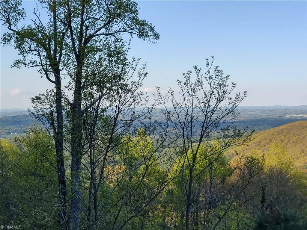 Sparta, NC 28675,Lot 10 Park Vista LN