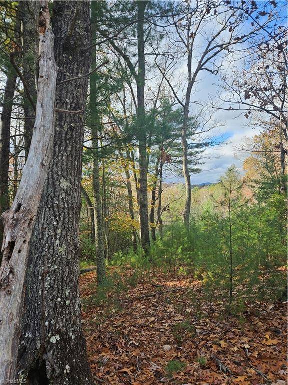Mcgrady, NC 28649,0 Sutter's Ridge Lt 112 Rock Wall RD