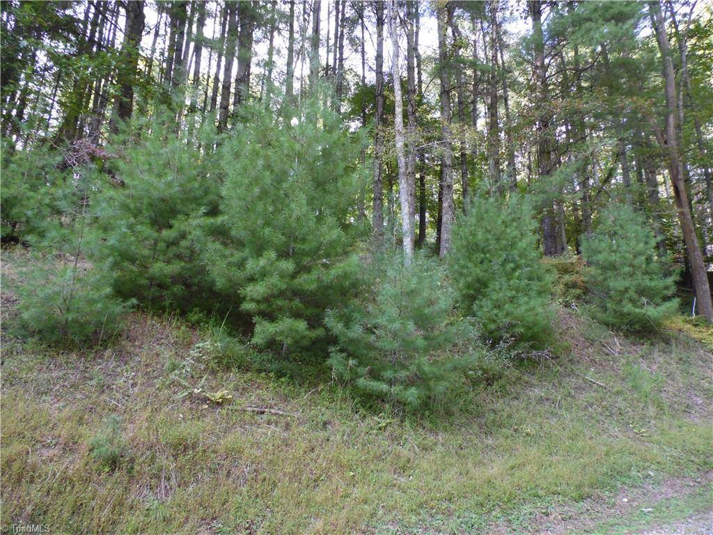 Piney Creek, NC 28663,TBD Woodlands DR