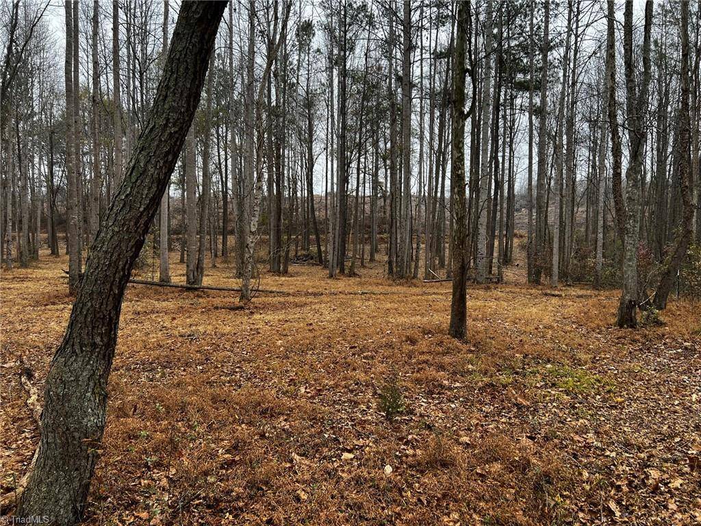 Statesville, NC 28625,Lot 156 Lookout Dam RD