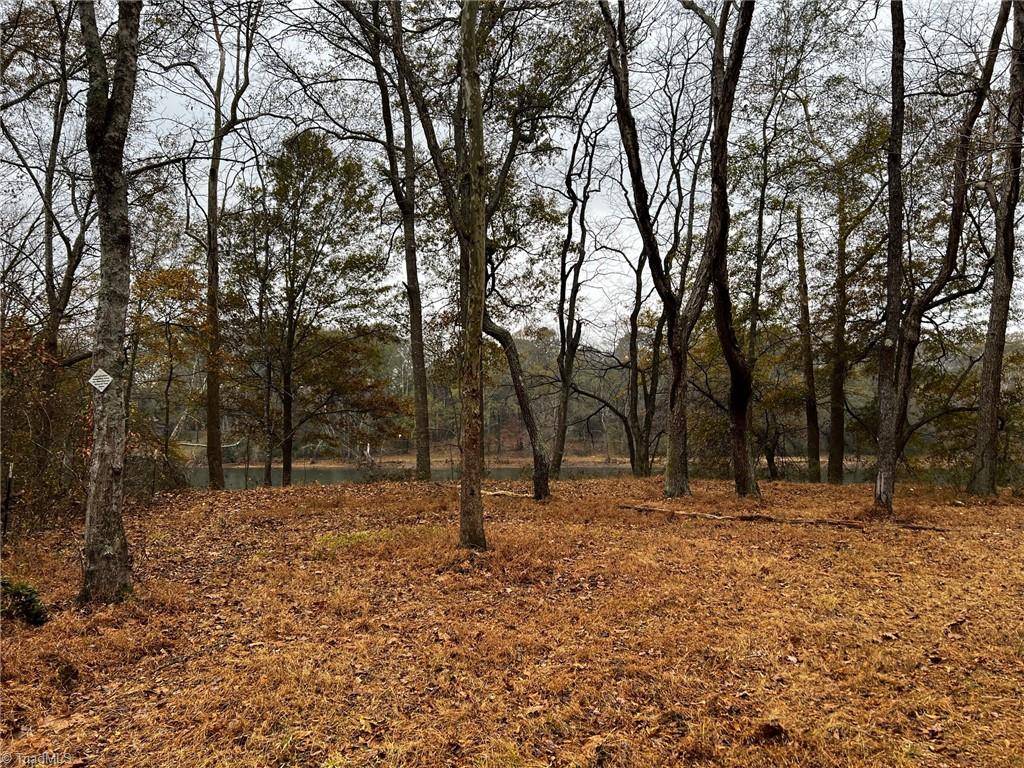 Statesville, NC 28625,Lot 156 Lookout Dam RD