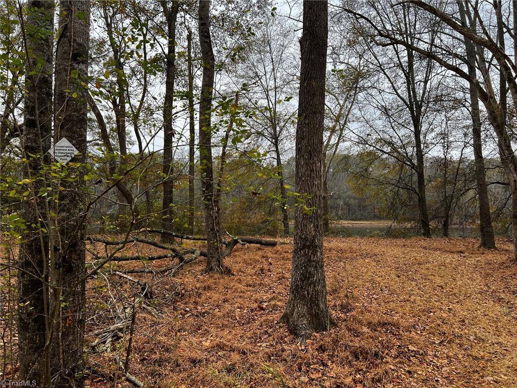 Statesville, NC 28625,Lot 155 Lookout Dam RD