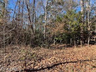 Jonesville, NC 28642,Lot 11 Stevens DR