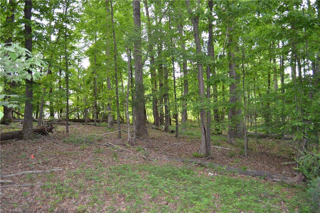 Stoneville, NC 27048,429 Country Club DR