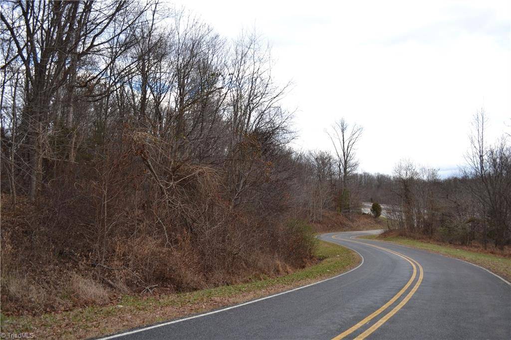Stoneville, NC 27048,0 Twin Springs RD