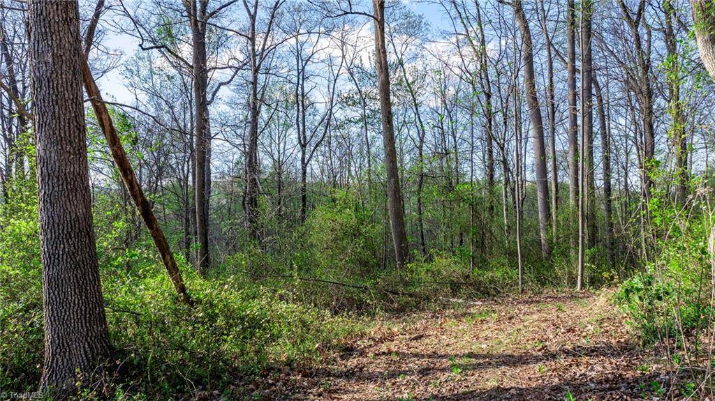 North Wilkesboro, NC 28689,00 Somers RD