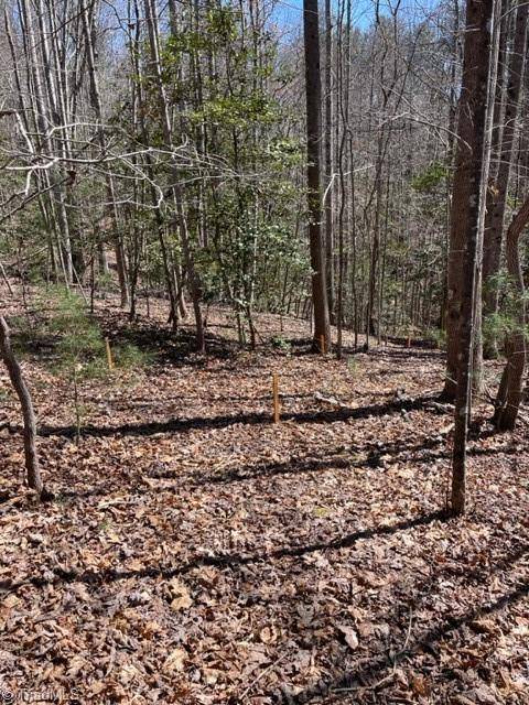 Wilkesboro, NC 28697,Lot #18 Blue Mountain DR