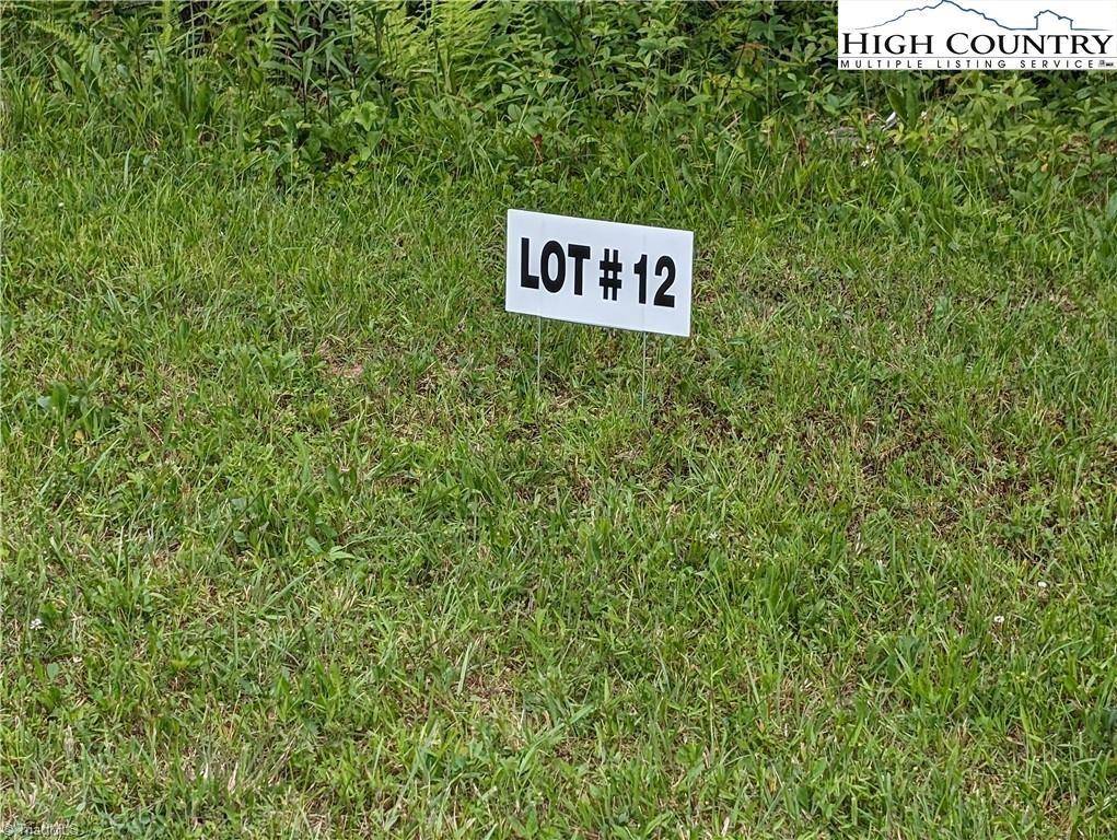 Sparta, NC 28675,Lot 12 Briarwood LN