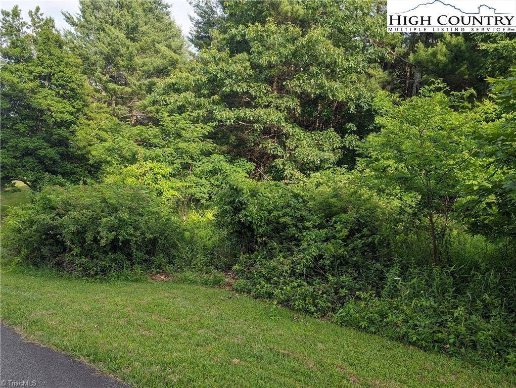 Sparta, NC 28675,Lot 1 Briarwood LN