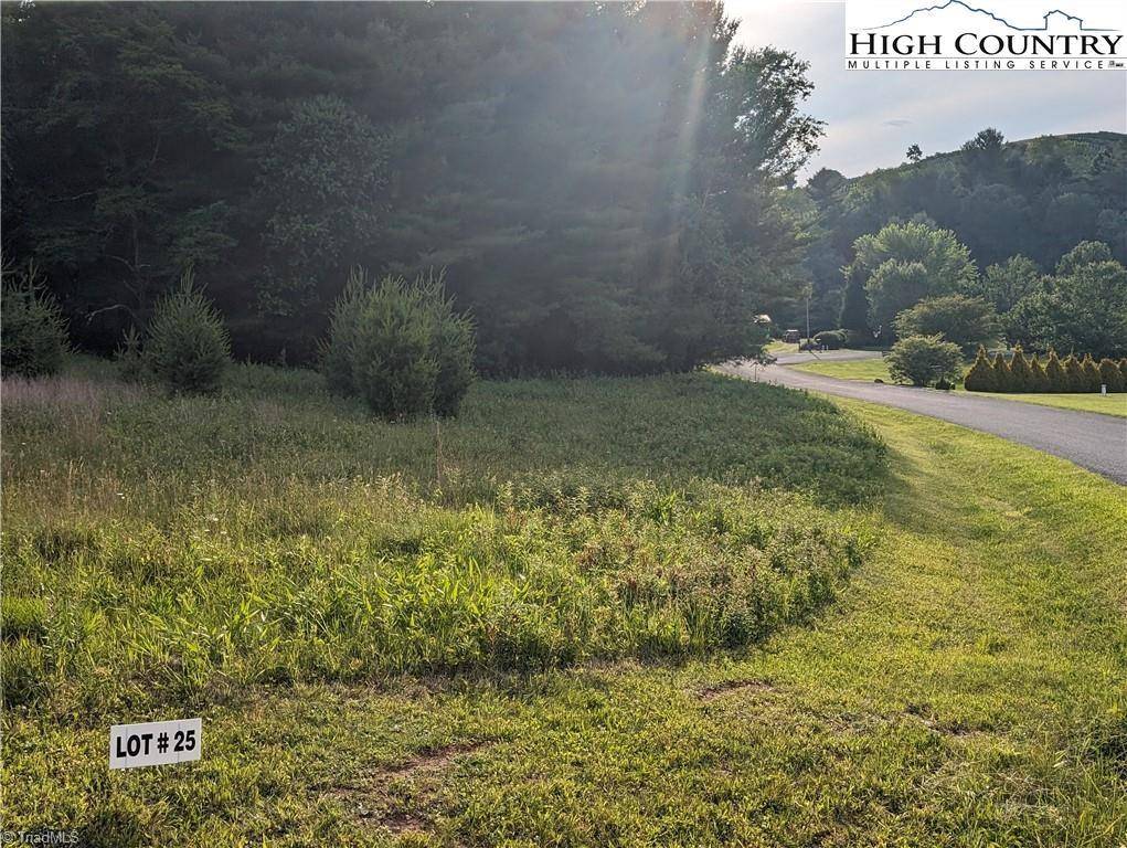 Sparta, NC 28675,Lot 25 Dockery LN