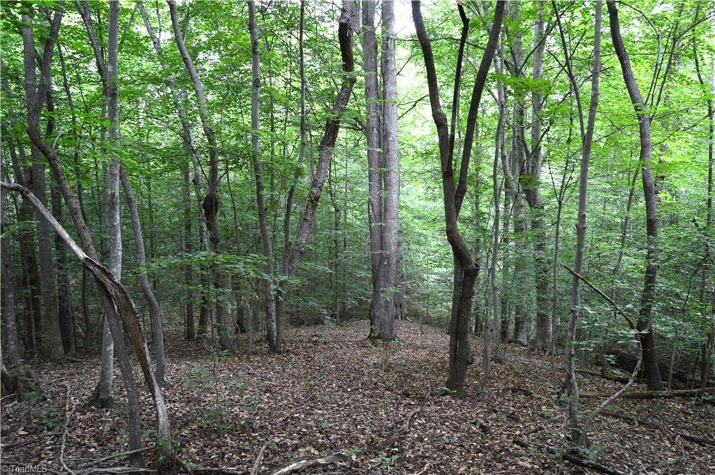 Reidsville, NC 27320,Lot #5 Rock Creek LN