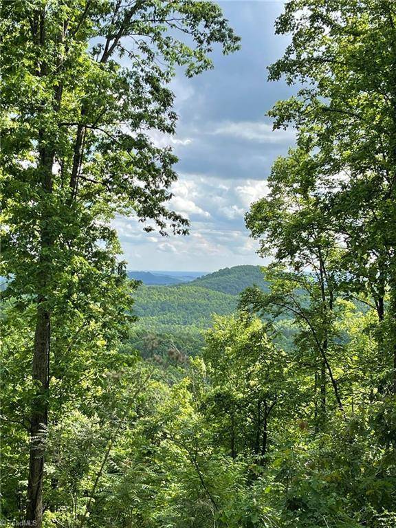 Moravian Falls, NC 28654,Lot 8 Dogwood RD