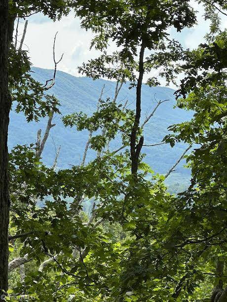Narrows, VA 24124,TBD Blankenship Mountain RD