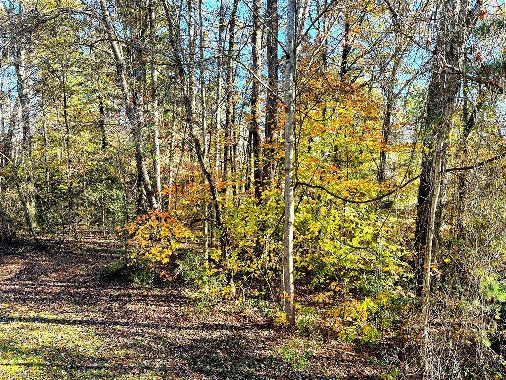 North Wilkesboro, NC 28659,142 Pumpkin Patch DR