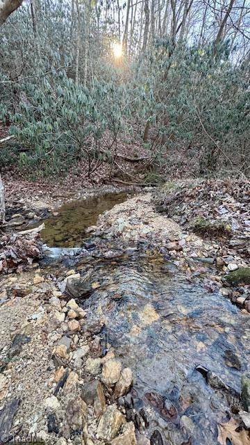 Mount Airy, NC 27030,00 Blue Hollow RD