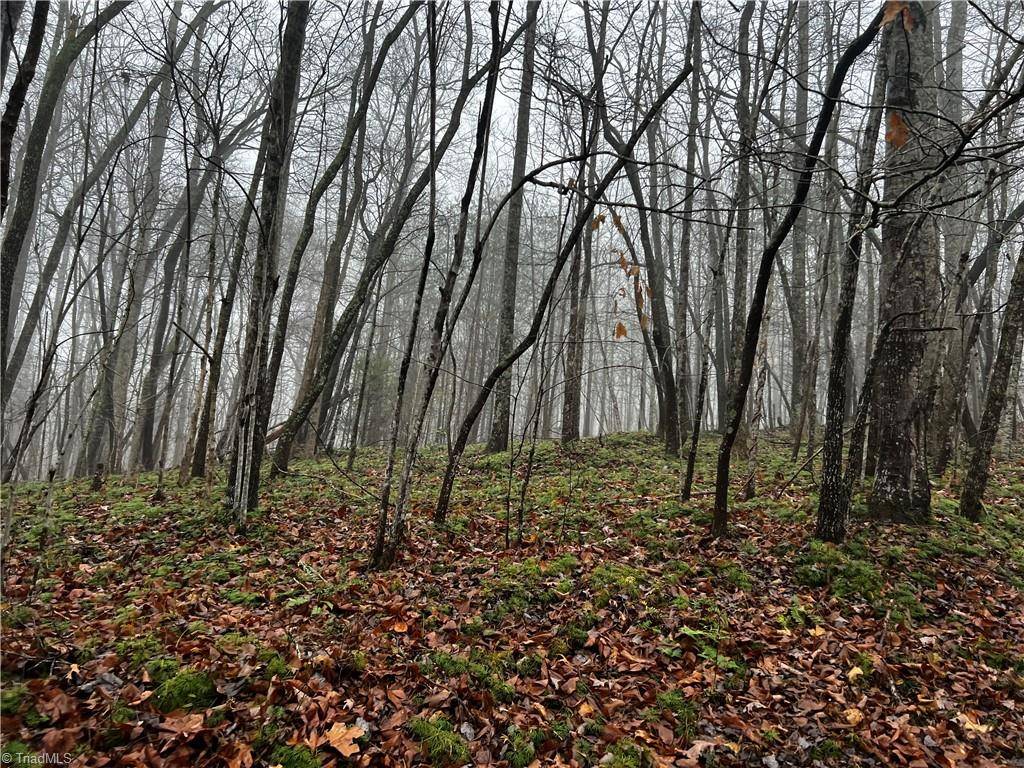 Mount Airy, NC 27030,140 Daniels Dell LN