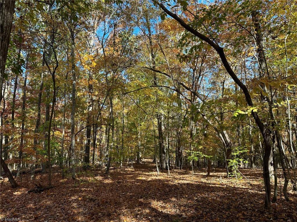 Asheboro, NC 27205,2547 Lot 6 plus partial A Beechwood DR