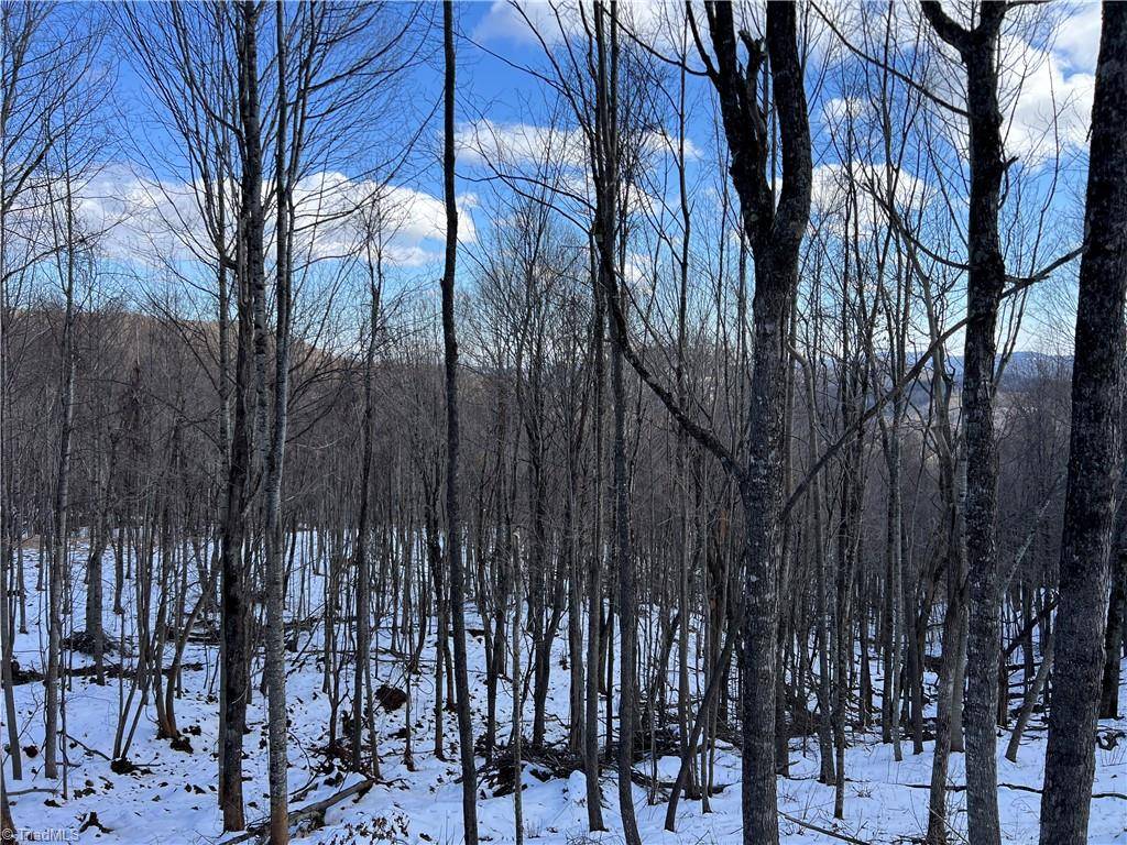 Boone, NC 28607,TBD (Lot 69) Poplar Forest DR