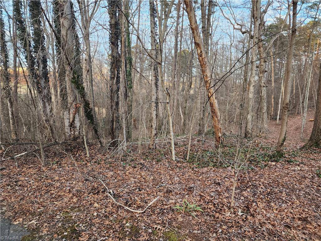 Mount Airy, NC 27030,00 Nancy DR
