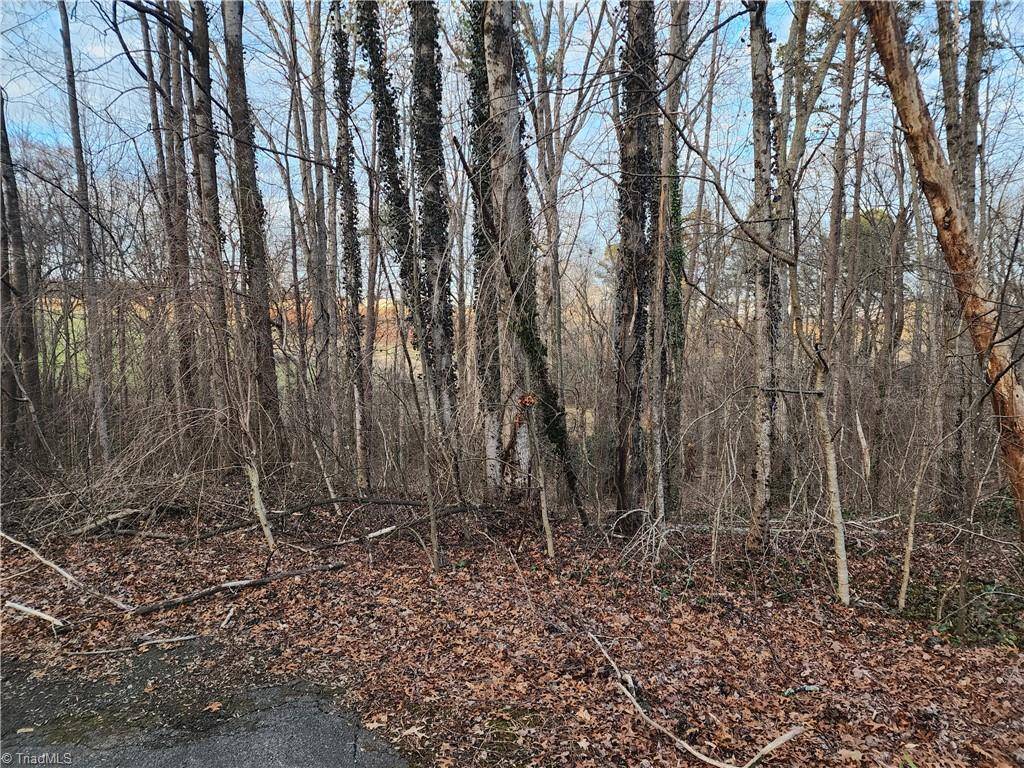 Mount Airy, NC 27030,00 Nancy DR
