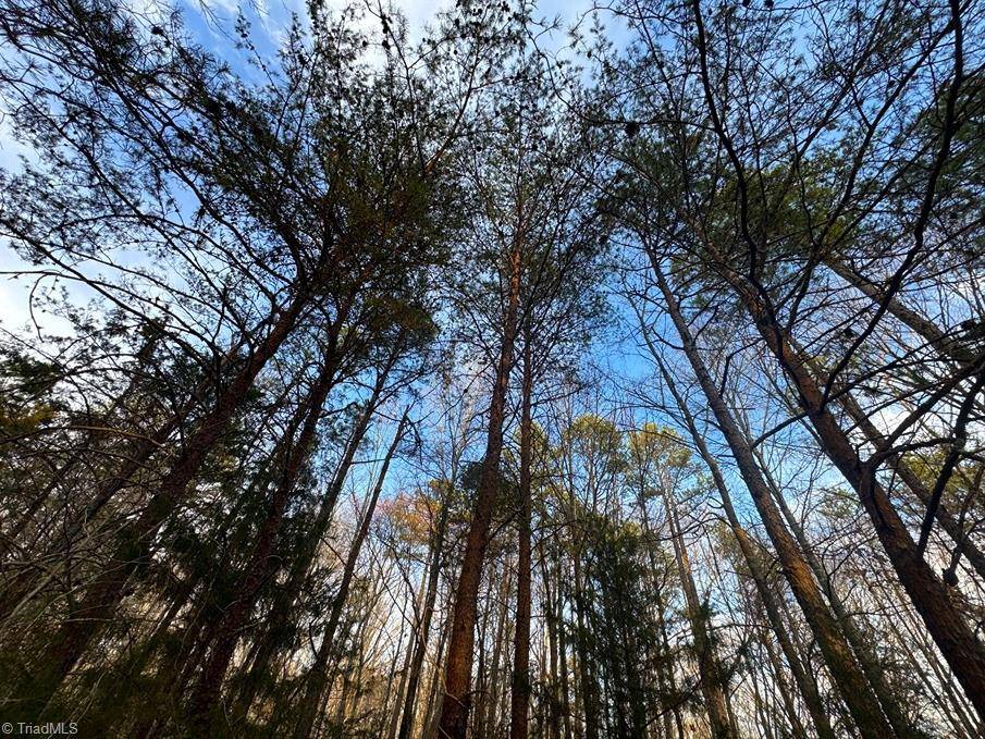 Trinity, NC 27370,149 Pinecrest DR