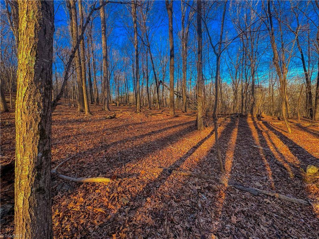 Denton, NC 27239,279 Palisade TRL