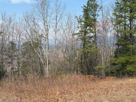 Purlear, NC 28665,TBD White Oak RD