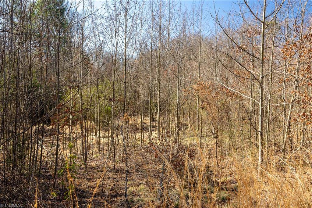 Wilkesboro, NC 28697,TBD S NC Highway 16