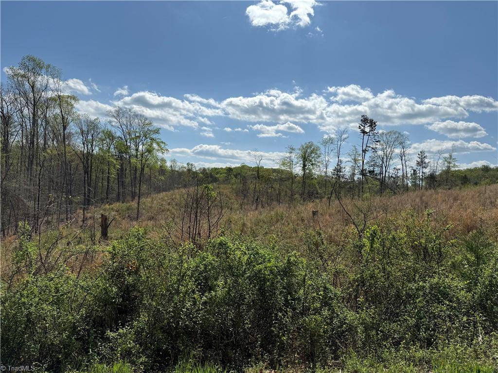 Yadkinville, NC 27055,0 GEORGIA RD