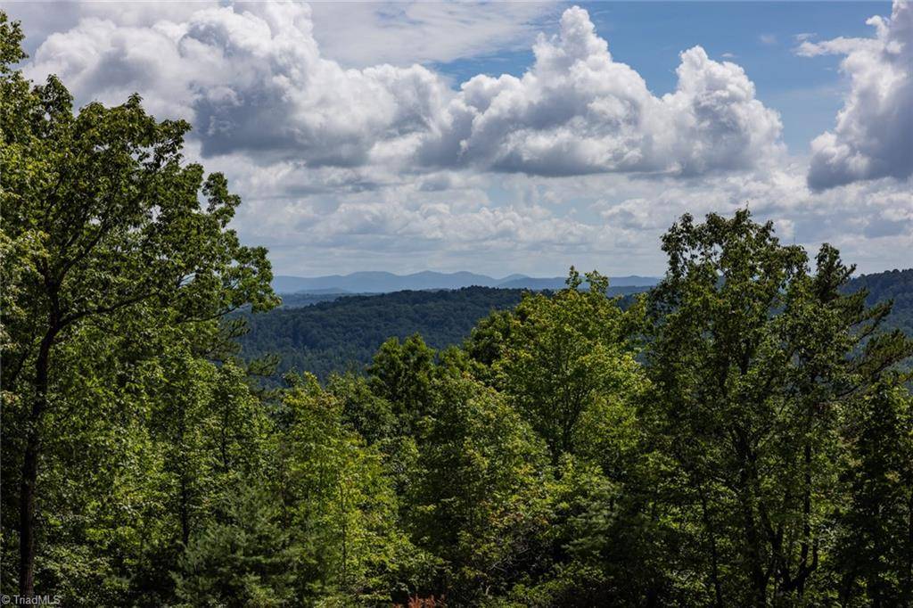 Mcgrady, NC 28649,Lot 158 Carriage House TRL