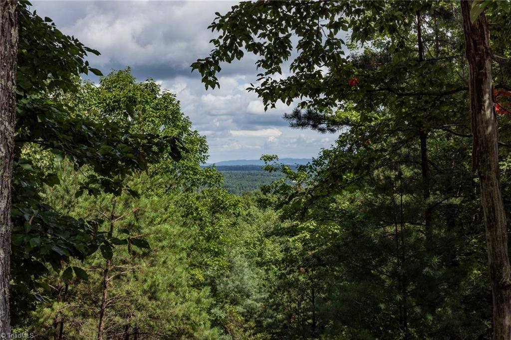 Mcgrady, NC 28649,Lot 158 Carriage House TRL