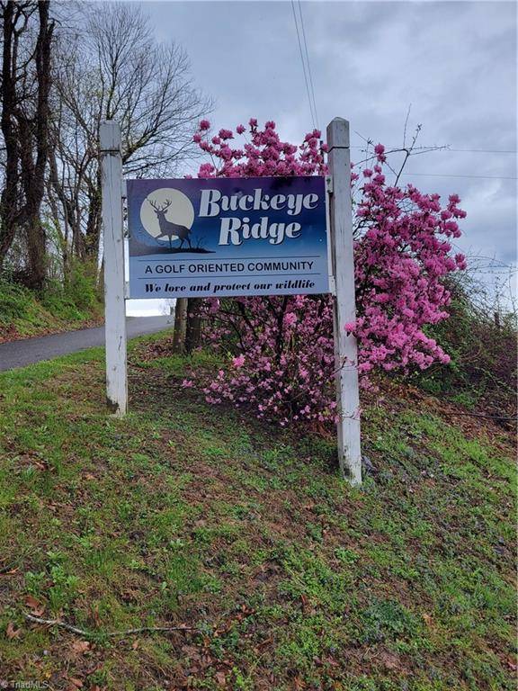 Sparta, NC 28675,522 Buckeye Ridge RUN