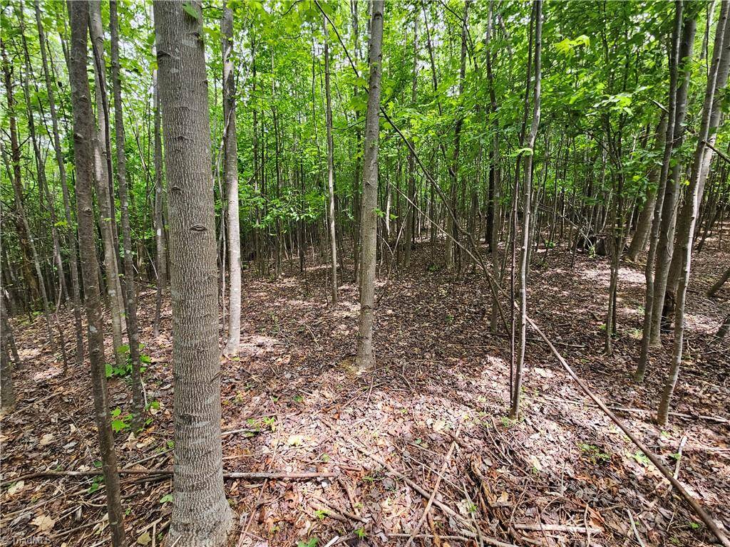 Yadkinville, NC 27055,0 Brandon Hills RD