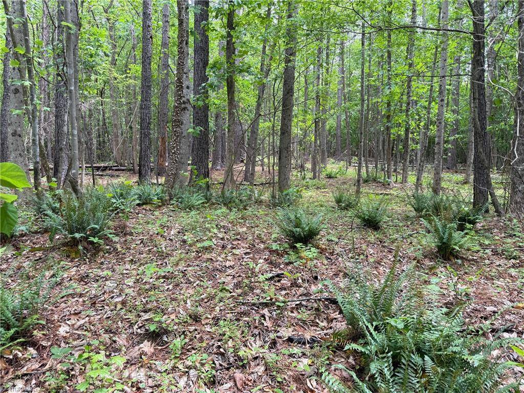 Reidsville, NC 27320,1201 Purcell RD