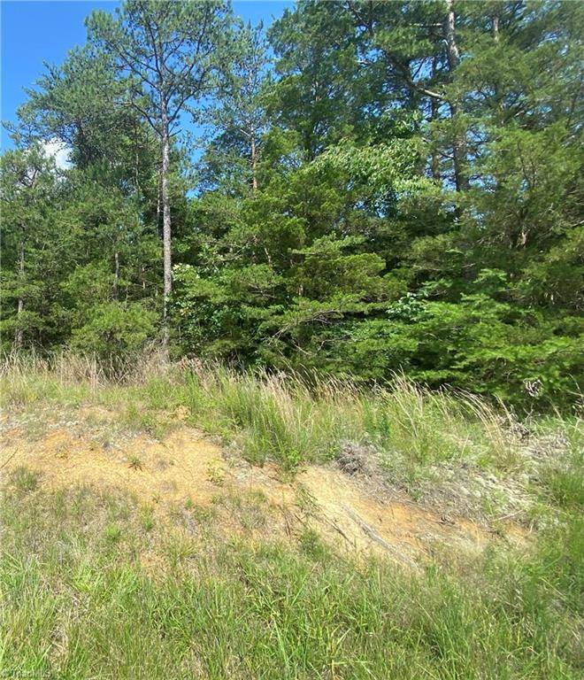 Sophia, NC 27350,2760 Sweetbriar RD