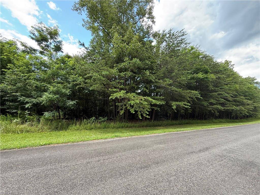 Westfield, NC 27053,0 Apple Blossom LN