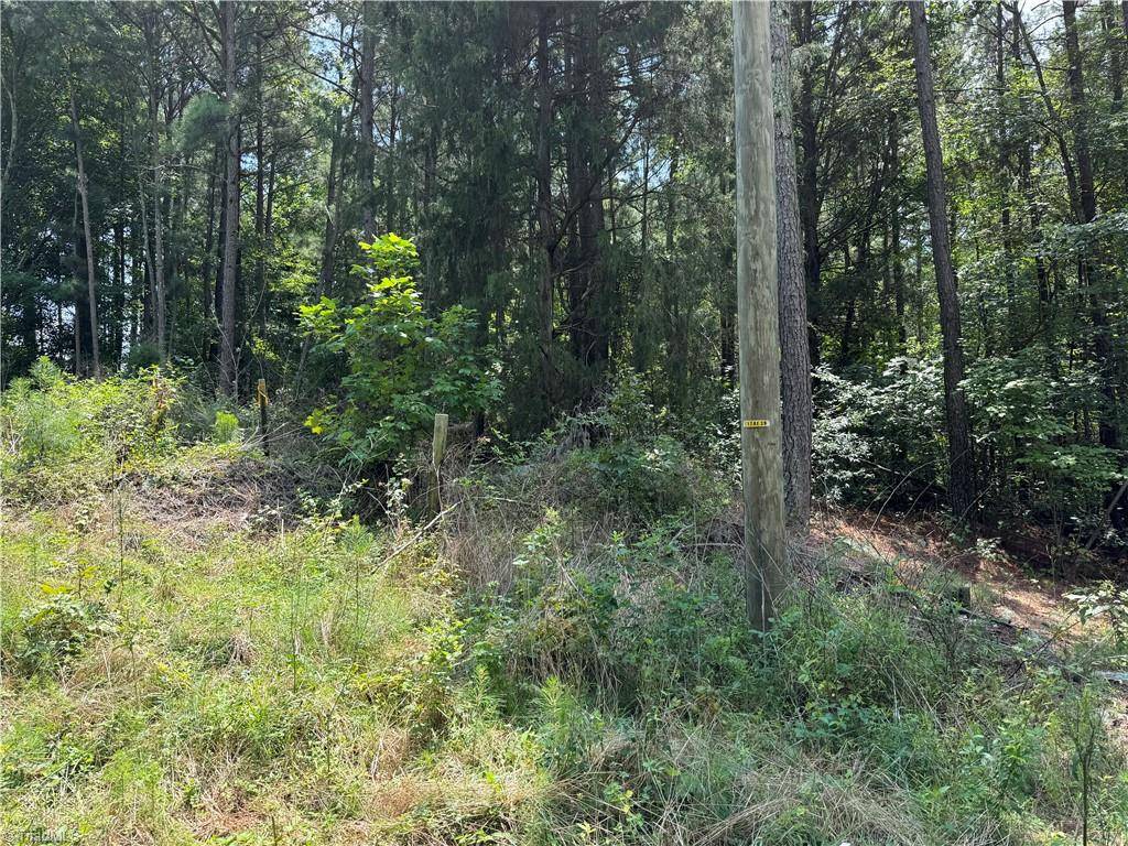 Siler City, NC 27344,00 Epps Clark RD