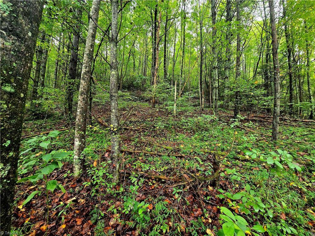 Millers Creek, NC 28651,Lot 6 & 7 N Old NC Highway 16