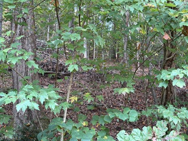 Wilkesboro, NC 28697,TBD Holly Tree DR