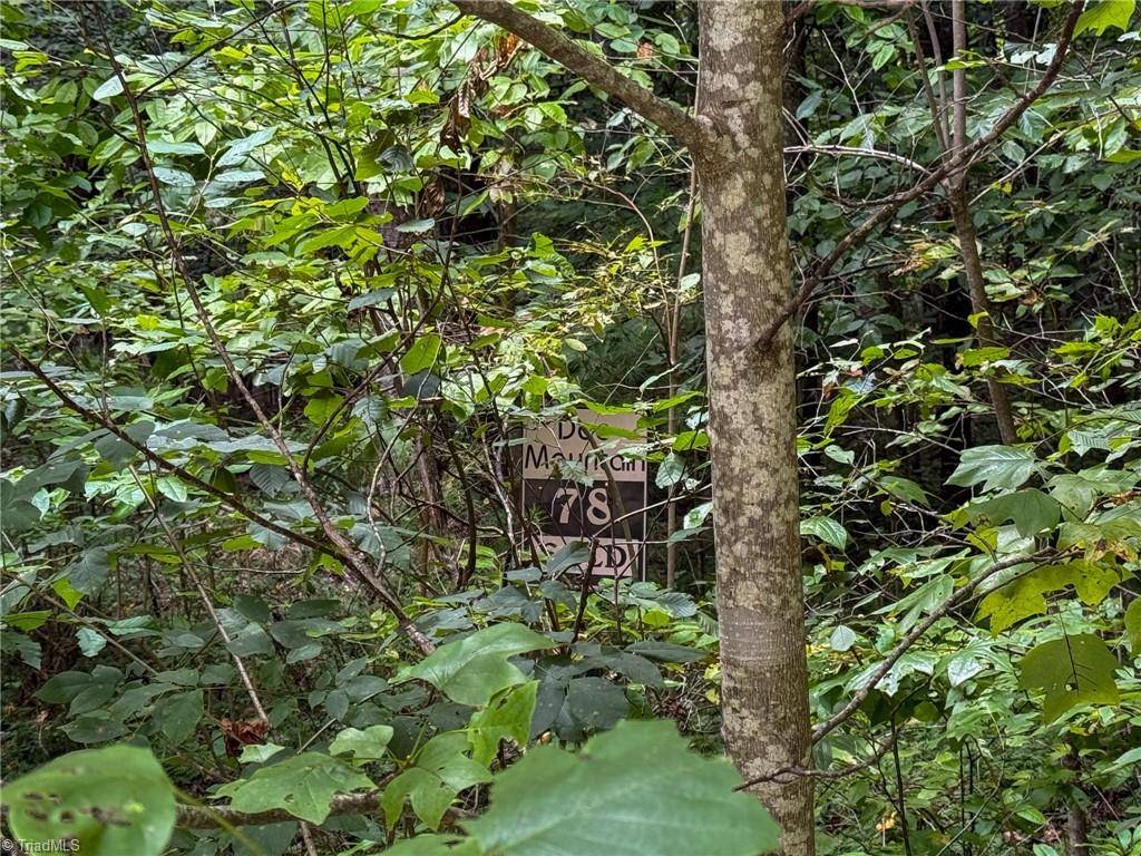 Mcgrady, NC 28649,000 Antler DR