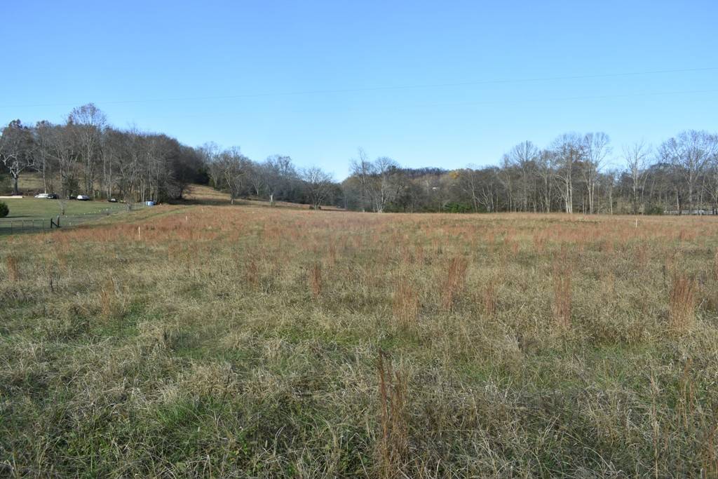 Pleasant Shade, TN 37145,0 Salt Lick Creek Rd