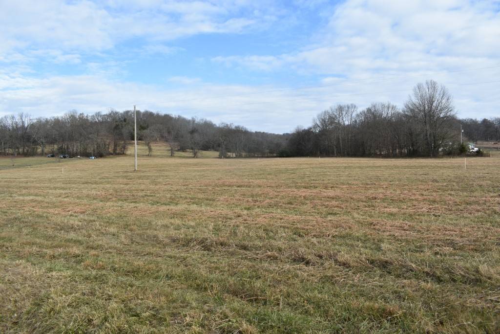 Pleasant Shade, TN 37145,0 Salt Lick Creek Rd