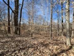 Bumpus Mills, TN 37028,0 Old Tobaccoport Rd