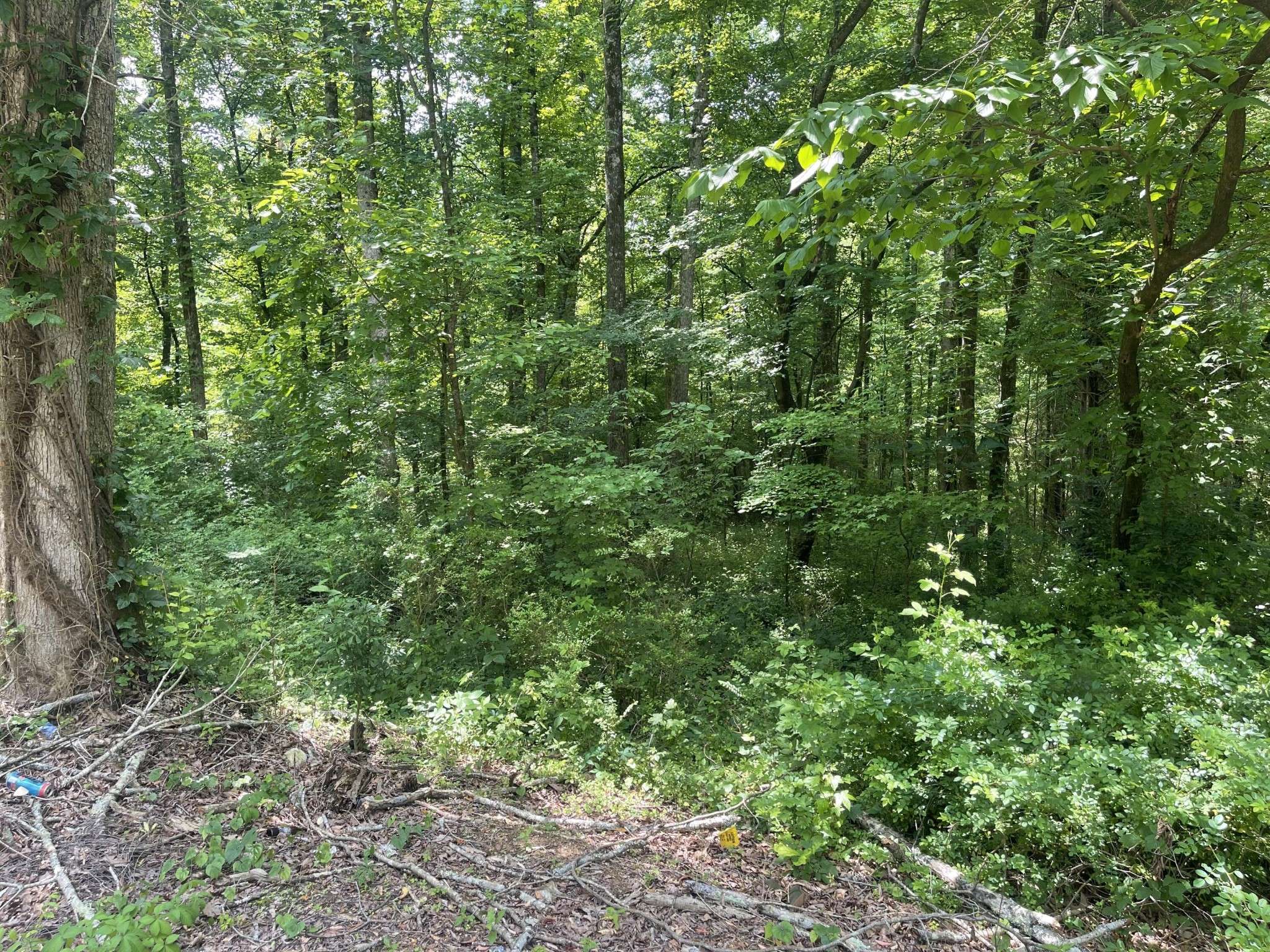 Soddy Daisy, TN 37379,13747 Lillard Rd Road