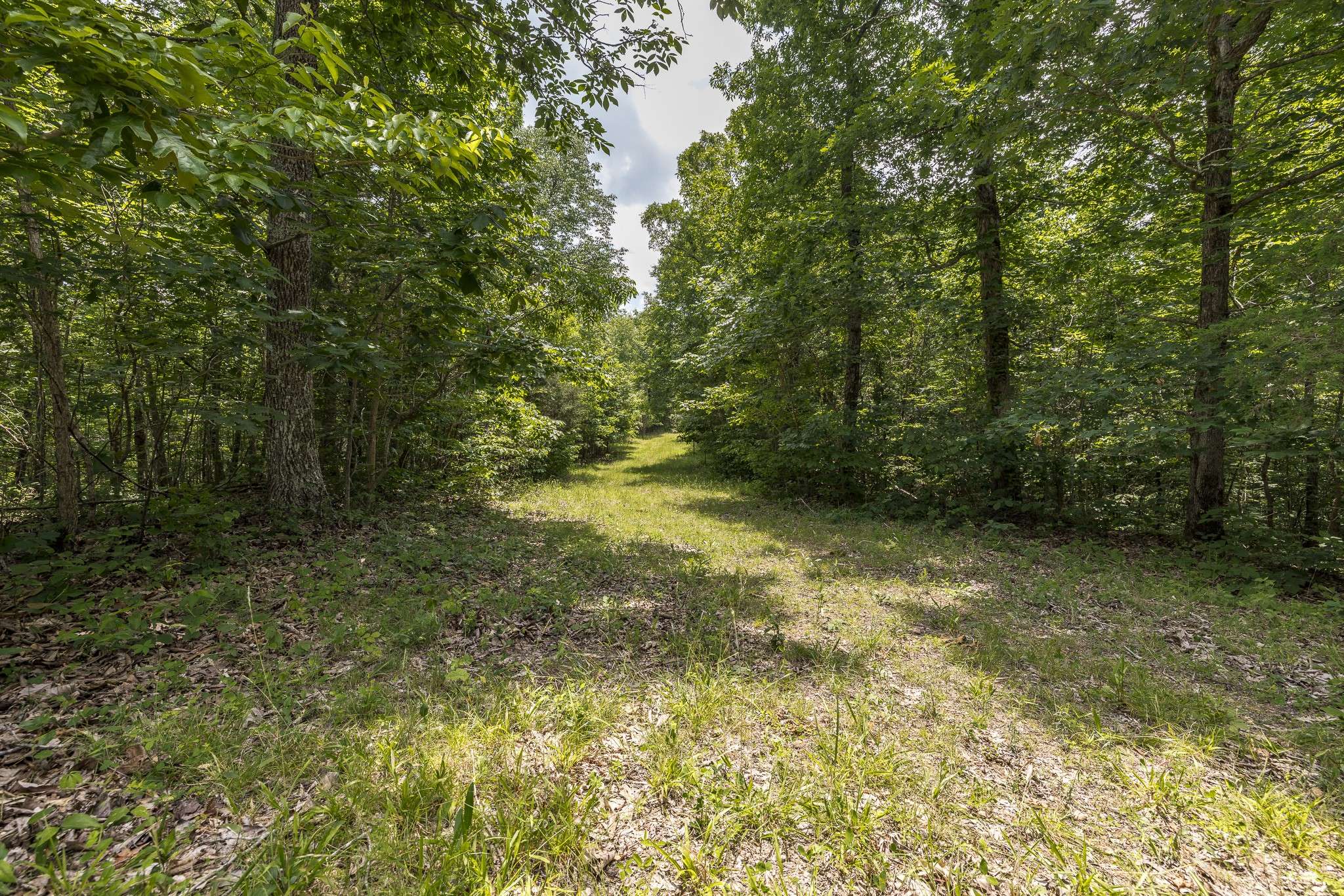 Hurricane Mills, TN 37078,800 Warren Ln