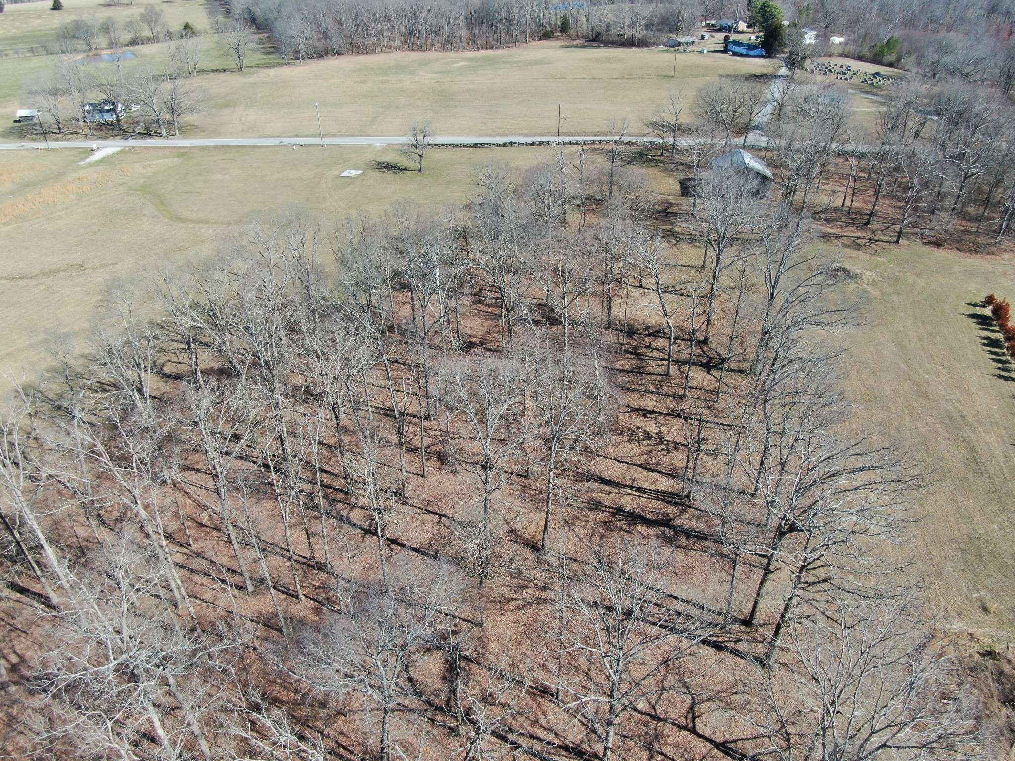 Primm Springs, TN 38476,0 Pinewood Rd