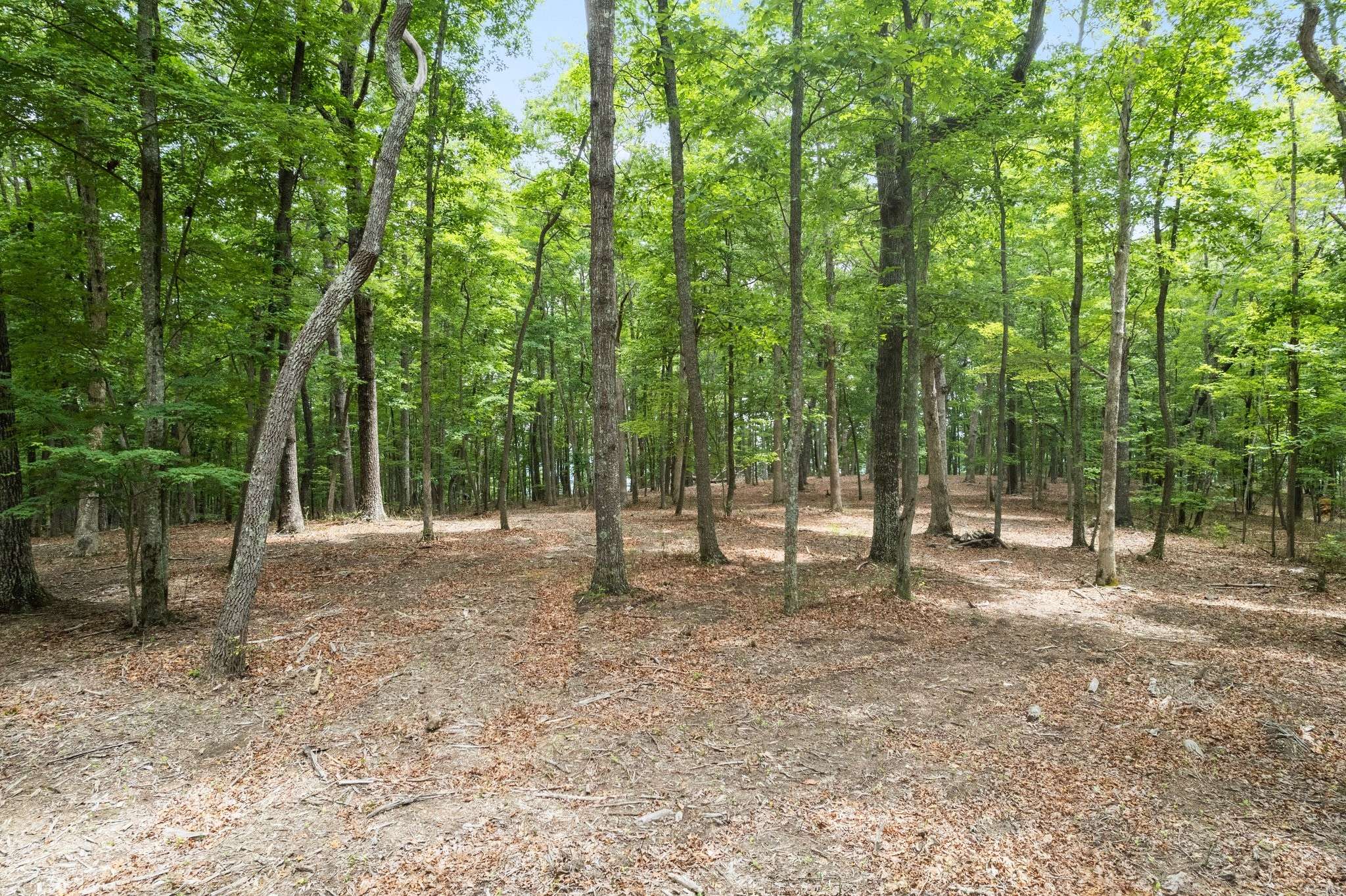 Monteagle, TN 37356,0 Eagle Rock Road