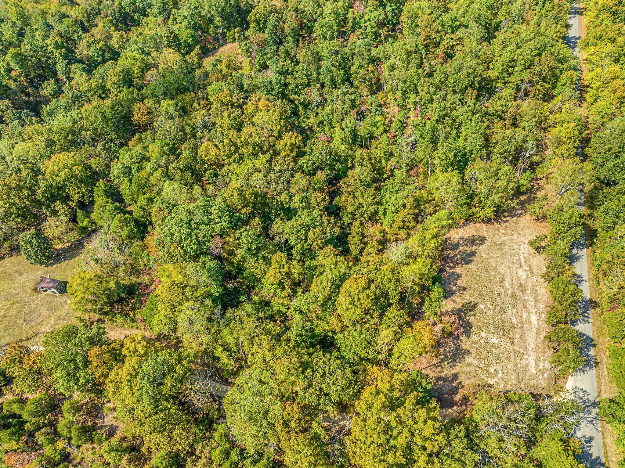 Lyles, TN 37098,0 Primm Springs Road Tract #1