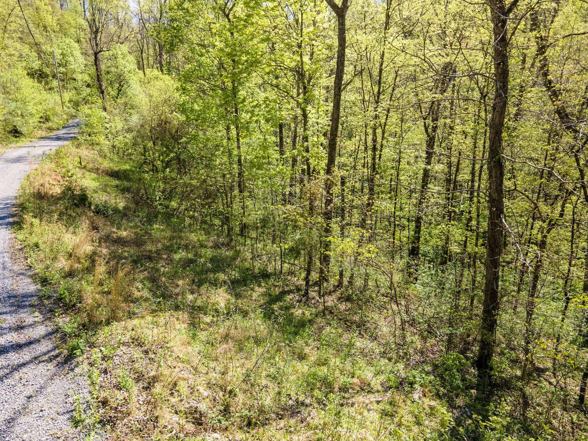 Gainesboro, TN 38562,0 SCHELLEY ROAD